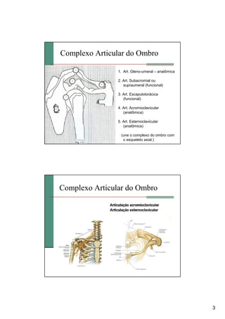 3
Complexo Articular do Ombro
1. Art. Gleno-umeral – anatômica
2. Art. Subacromial ou
supraumeral (funcional)
3. Art. Escapulotorácica
(funcional)
4. Art. Acromioclavicular
(anatômica)
5. Art. Esternoclavicular
(anatômica)
(une o complexo do ombro com
o esqueleto axial.)
Complexo Articular do Ombro
 