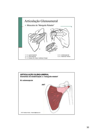 30
Articulação Glenoumeral
Músculos do “Manguito Rotador”
ProfProfºº Frederico RochaFrederico Rocha –– fredrocha@ulbrafredrocha@ulbra--to.to.brbr
 