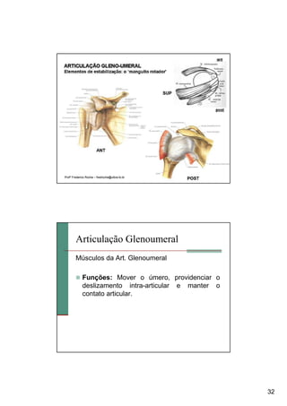 32
ProfProfºº Frederico RochaFrederico Rocha –– fredrocha@ulbrafredrocha@ulbra--to.to.brbr
Músculos da Art. Glenoumeral
Funções: Mover o úmero, providenciar o
deslizamento intra-articular e manter o
contato articular.
Articulação Glenoumeral
 