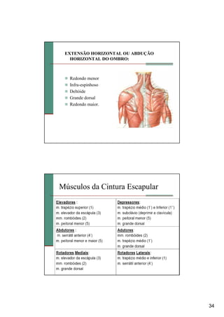 34
EXTENSÃO HORIZONTAL OU ABDUÇÃO
HORIZONTAL DO OMBRO:
Redondo menor
Infra-espinhoso
Deltóide
Grande dorsal
Redondo maior.
Músculos da Cintura Escapular
 