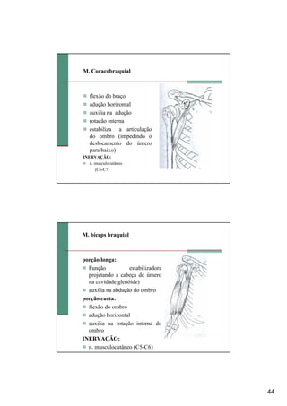44
M. Coracobraquial
flexão do braço
adução horizontal
auxilia na adução
rotação interna
estabiliza a articulação
do ombro (impedindo o
deslocamento do úmero
para baixo)
INERVAÇÃO:
n. musculocutâneo
(C6-C7)
M. bíceps braquial
porção longa:
Função estabilizadora
projetando a cabeça do úmero
na cavidade glenóide)
auxilia na abdução do ombro
porção curta:
flexão do ombro
adução horizontal
auxilia na rotação interna do
ombro
INERVAÇÃO:
n. musculocutâneo (C5-C6)
 