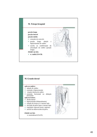 45
M. Tríceps braquial
porção longa
porção lateral
porção média
extensão do cotovelo
porção longa: adução e
hiperextensão do ombro
auxilia na estabilização da
articulação do ombro (porção
longa)
INERVAÇÃO:
n. radial (C6-C8)
M. Grande dorsal
ação no ombro:
adução do ombro
extensão e hiperextensão
rotação interna do ombro
extensão horizontal ou abdução
horizontal
ação no tronco:
flexão lateral
hiperextensão (bilateralmente)
rotação do tronco p/ o mesmo lado
elevação da pelve para o mesmo lado
expiração vigorosa (tossir, espirrar)
auxilia na anteroversão da pelve.
INERVAÇÃO:
n. toracodorsal (C6-C8)
 