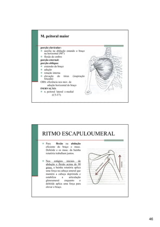 46
M. peitoral maior
porção clavicular:
auxilia na abdução estando o braço
na horizontal (90°)
flexão do ombro
porção esternal:
porção oblíqua:
extensão do braço
adução
rotação interna
elevação do tórax (inspiração
forçada)
OBS: eficiência nos mov. de
adução horizontal do braço
INERVAÇÃO:
n. peitoral lateral e medial
(C5-T7)
RITMO ESCAPULOUMERAL
Para flexão ou abdução
eficiente do braço o musc.
Deltóide e os musc. da bainha
rotatória trabalham juntos.
Nos estágios iniciais de
abdução e flexão acima de 90
graus, a bainha rotatória aplica
uma força na cabeça umeral que
mantém a cabeça deprimida e
estabiliza a articulação
glenoumeral enquanto o
deltóide aplica uma força para
elevar o braço.
 