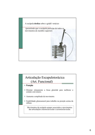 6
A escápula desliza sobre o grádil torácico
(permitindo que a escápula participe de todos os
movimentos do membro superior)
Articulação Escapulotorácica
(Art. Funcional)
Função
Orientar otimamente a fossa glenóide para melhorar o
contato com úmero.
Aumenta a amplitude de movimento.
Estabilidade glenoumeral para trabalho na posição acima da
cabeça.
Movimentos da escápula sempre associados a movimentos
das articulações esternoclavicular e acromioclavicular.
 