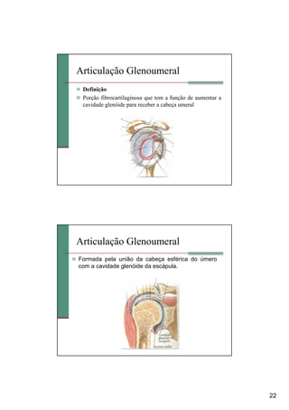 22
Articulação Glenoumeral
Definição
Porção fibrocartilaginosa que tem a função de aumentar a
cavidade glenóide para receb...