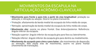 MOVIMENTOS DA ESCAPULA NA
ARTICULAÇÃO ACRÔMIO-CLAVICULAR
Movimento para frente e para trás a partir do eixo longitudinal: protação ou
abdução; e retração ou adução. Ocorre no plano transverso.
Protação: afastamento da borda medial da escapula da linha média do corpo.
Retração: aproximação da borda medial da escapula da linha média do corpo.
Movimento alar: ocorre no plano frontal. Eixo ântero/posterior. Referência:
ângulo inferior da escapula.
Rotação superior: ângulo inferior da escapula gira para fora ou lateralmente.
Rotação inferior: ângulo inferior da escapula gira para dentro ou medialmente.
Movimento da escapula para cima e para baixo: são movimentos de depressão
ou elevação. Não existe eixo de movimento, ocorre no plano frontal
(movimento de translação).
 