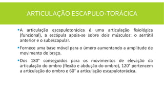 ARTICULAÇÃO ESCAPULO-TORÁCICA
A articulação escapulotorácica é uma articulação fisiológica
(funcional), a escápula apoia-se sobre dois músculos: o serrátil
anterior e o subescapular.
Fornece uma base móvel para o úmero aumentando a amplitude de
movimento do braço.
Dos 180° conseguidos para os movimentos de elevação da
articulação do ombro (flexão e abdução do ombro), 120° pertencem
a articulação do ombro e 60° a articulação escapulotorácica.
 