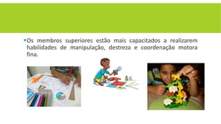 Os membros superiores estão mais capacitados a realizarem
habilidades de manipulação, destreza e coordenação motora
fina.
 