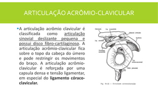 ARTICULAÇÃO ACRÔMIO-CLAVICULAR
A articulação acrômio clavicular é
classificada como articulação
sinovial deslizante pequena e
possui disco fibro-cartilaginoso. A
articulação acrômio-clavicular fica
sobre o topo da cabeça do úmero
e pode restringir os movimentos
do braço. A articulação acrômio-
clavicular é reforçada por uma
capsula densa e tensão ligamentar,
em especial do ligamento córaco-
clavicular.
 