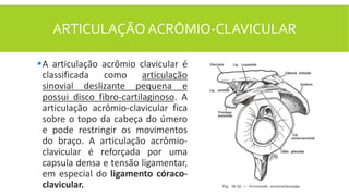 ARTICULAÇÃO ACRÔMIO-CLAVICULAR
A articulação acrômio clavicular é
classificada como articulação
sinovial deslizante peque...