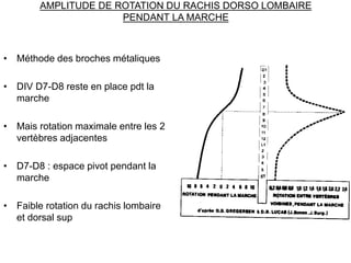 AMPLITUDE DE ROTATION DU RACHIS DORSO LOMBAIRE
PENDANT LA MARCHE
• Méthode des broches métaliques
• DIV D7-D8 reste en pla...