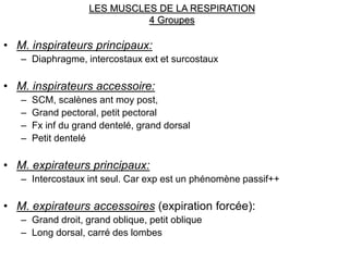 LES MUSCLES DE LA RESPIRATION
4 Groupes
• M. inspirateurs principaux:
– Diaphragme, intercostaux ext et surcostaux
• M. in...