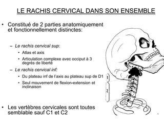 LE RACHIS CERVICAL DANS SON ENSEMBLE
• Constitué de 2 parties anatomiquement
et fonctionnellement distinctes:
– Le rachis ...