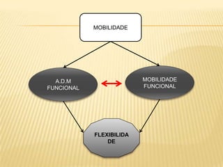 MOBILIDADE




  A.D.M                   MOBILIDADE
FUNCIONAL                 FUNCIONAL




            FLEXIBILIDA
                DE
 