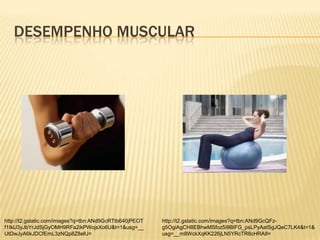 DESEMPENHO MUSCULAR




http://t2.gstatic.com/images?q=tbn:ANd9GcRTtb640jPEOT   http://t2.gstatic.com/images?q=tbn:ANd9GcQFz-
f1IklJ3yJbYrJdSjGyOMH9RFa2ikPWojsXo6U&t=1&usg=__        g5OgiAgCH8EBhwMSfoz5i9BIFG_psLPyAatSgJQeC7LK4&t=1&
UtDwJyA6kJDCfEmL3zNQp8Z8elU=                            usg=__m8WckXqKK226jLN5YRcTR8cHRA8=
 