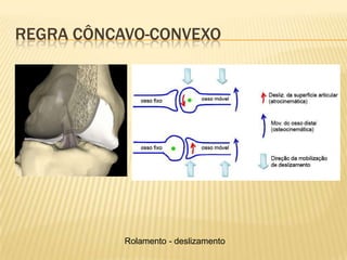 REGRA CÔNCAVO-CONVEXO




           Rolamento - deslizamento
 