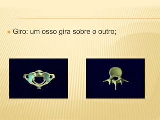    Giro: um osso gira sobre o outro;
 
