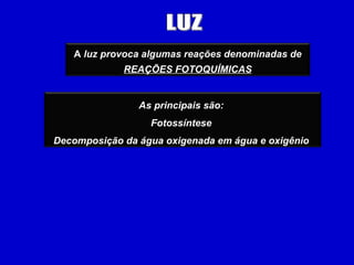 LUZ A  luz provoca algumas reações denominadas de REAÇÕES FOTOQUÍMICAS   As principais são:  Fotossíntese  Decomposição da água oxigenada em água e oxigênio  