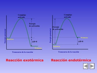 Complejo                                                              Complejo
                                 activado                                                              activado


                                               Energía
                                               de activación
                                                                                       Energía
                                                                                       de activación




                                                                   Energía potencial
Energía potencial




                                                                                                                         Productos
                    Reactivos
                                                   ∆H<0                                                              ∆H>0

                                                                                       Reactivos
                                                       Productos

                           Transcurso de la reacción                                         Transcurso de la reacción



               Reacción exotérmica                                               Reacción endotérmica
 