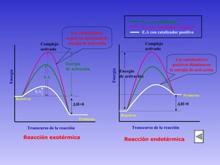 E.A sin catalizador
                                                                                    E.A con catalizador negativo
                                        Los catalizadores                           E.A con catalizador positivo
                                     negativos aumentan la
                        Complejo      energía de activación                             Complejo
                        activado                                                        activado

                                                                                                       Los catalizadores
                                     Energía                                                         positivos disminuyen
                                     de activación                                                 la energía de activación




                                                              Energía
                                                                        Energía
Energía




                            E.A                                         de activación


                      E.A
                                                                                                          Productos
          Reactivos
                                         ∆H<0                                                          ∆H>0

                                                                        Reactivos
                                             Productos

                 Transcurso de la reacción                                    Transcurso de la reacción

              Reacción exotérmica                                         Reacción endotérmica
 