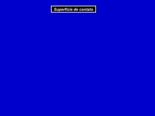 Superfície de contato
Superfície de contato
 