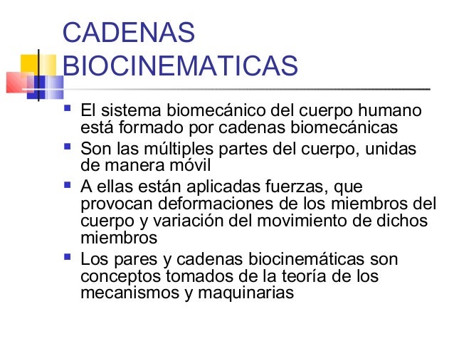 cadenas cineticas del cuerpo humano cinetica cadenas cineticas del cuerpo humano cinetica
