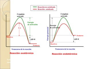 Reacción no catalizada
Reacción catalizada
Complejo
activado

Complejo
activado

E.A

Reactivos

∆H<0
Productos

Energía potencial

Energía
de activación

Energía
de activación

Productos

∆H>0
Reactivos

Transcurso de la reacción

Transcurso de la reacción

Reacción exotérmica

Reacción endotérmica

Los catalizadores cambian la energía de activación de una determinada reacción, y por lo
tanto incrementan la velocidad de reacción

 