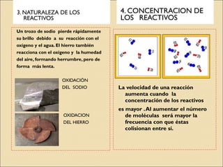3. NATURALEZA DE LOS
REACTIVOS

4. CONCENTRACION DE
LOS REACTIVOS

Un trozo de sodio pierde rápidamente
su brillo debido a su reacción con el
oxígeno y el agua. El hierro también
reacciona con el oxígeno y la humedad
del aire, formando herrumbre, pero de
forma más lenta.
OXIDACIÓN
DEL SODIO



OXIDACION
DEL HIERRO

La velocidad de una reacción
aumenta cuando la
concentración de los reactivos
es mayor . Al aumentar el número
de moléculas será mayor la
frecuencia con que éstas
colisionan entre sí.

 
