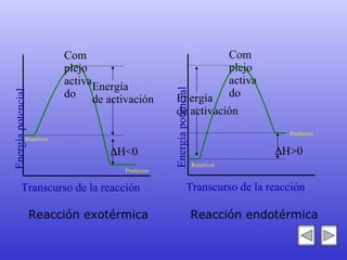 Energía  de activación Energía potencial Transcurso de la reacción Complejo activado Reactivos  H<0 Energía  de activación Transcurso de la reacción Complejo activado Reactivos  H>0 Energía potencial Reacción exotérmica Reacción endotérmica Productos Productos 
