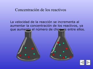 La velocidad de la reacción se incrementa al aumentar la concentración de los reactivos, ya que aumenta el número de choques entre ellos. Concentración de los reactivos 