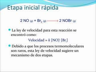 Etapa inicial rápida
       2 NO (g) + Br2 (g) → 2 NOBr (g)

La ley de velocidad para esta reacción se
 encontró como:
            Velocidad = k [NO]2 [Br2]
Debido a que los procesos termomoleculares
 son raros, esta ley de velocidad sugiere un
 mecanismo de dos etapas.
 