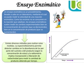 Ensayo Enzimático
Un ensayo enzimático es un procedimiento,
llevado a cabo en un laboratorio, mediante el cual
se puede medir la velocidad de una reacción
enzimática. Como las enzimas no se consumen en
la reacción que catalizan, los ensayos enzimáticos
suelen medir los cambios experimentados bien en
la concentración de sustrato (que va decreciendo),
bien en la concentración de producto (que va
aumentando).
Existen diversos métodos para realizar estas
medidas. La espectrofotometría permite
detectar cambios en la absorbancia de luz por
parte del sustrato o del producto (según la
concentración de estos) y la radiometría
implica incorporación o liberación de
radiactividad para medir la cantidad de
producto obtenido por tiempo.
 