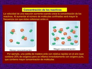 Concentración de los reactivos La velocidad de una reacción aumenta cuando crece la concentración de los reactivos. Al aumentar el número de moléculas confinadas será mayor la frecuencia con que éstas colisionan entre sí. Por ejemplo, una astilla de madera arde con relativa rapidez en el aire (que contiene 20% de oxígeno) pero se inflama inmediatamente con oxígeno puro, que contiene mayor concentración de moléculas 
