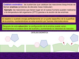Catálisis enzimática: las sustancias que catalizan las reacciones bioquímicas se
 llaman enzimas (proteinas de elevada masa molecular)
   Ejemplo: las reacciones que tienen lugar en el cuerpo humano pueden realizarse
   a la temperatura del organismo (37ºC) gracias a la acción de las enzimas


El reactivo o sustrato encaja perfectamente en un punto específico de la superficie
de la enzima, manteniéndose en esta posición por fuerzas intermoleculares

Después de esta adsorción, la configuración de la enzima puede variar,
debilitándose el enlace clave del sustrato y aumentando la velocidad de reacción




                                                                              21
 