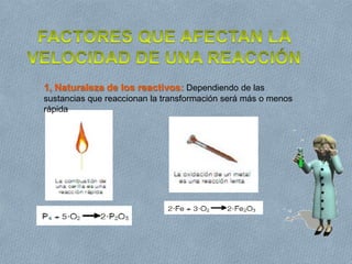 1, Naturaleza de los reactivos: Dependiendo de las
sustancias que reaccionan la transformación será más o menos
rápida
 