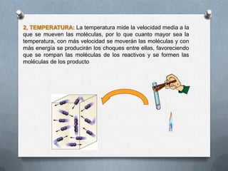 2, TEMPERATURA: La temperatura mide la velocidad media a la
que se mueven las moléculas, por lo que cuanto mayor sea la
temperatura, con más velocidad se moverán las moléculas y con
más energía se producirán los choques entre ellas, favoreciendo
que se rompan las moléculas de los reactivos y se formen las
moléculas de los producto
 