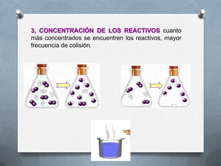 3, CONCENTRACIÓN DE LOS REACTIVOS cuanto
más concentrados se encuentren los reactivos, mayor
frecuencia de colisión.
 
