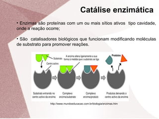 • Enzimas são proteínas com um ou mais sítios ativos tipo cavidade,
onde a reação ocorre;
• São catalisadores biológicos que funcionam modificando moléculas
de substrato para promover reações.
Catálise enzimática
http://www.mundoeducacao.com.br/biologia/enzimas.htm
 