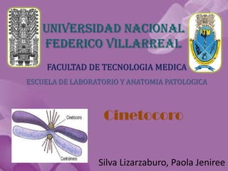 UNIVERSIDAD NACIONAL
FEDERICO VILLARREAL
FACULTAD DE TECNOLOGIA MEDICA
ESCUELA DE LABORATORIO Y ANATOMIA PATOLOGICA

Cinetocoro

Silva Lizarzaburo, Paola Jeniree

 
