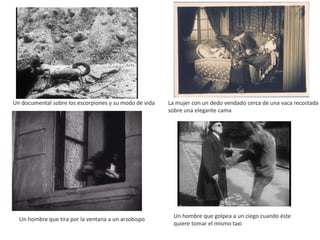 Un documental sobre los escorpiones y su modo de vida La mujer con un dedo vendado cerca de una vaca recostada
sobre una elegante cama
Un hombre que tira por la ventana a un arzobispo
Un hombre que golpea a un ciego cuando éste
quiere tomar el mismo taxi
 