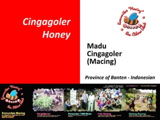 Cingagoler
Honey
Province of Banten - Indonesian
Madu
Cingagoler
(Macing)
 