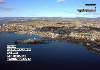 dreamhamar.org

                     a
network design process
  by ecosistema urbano
 