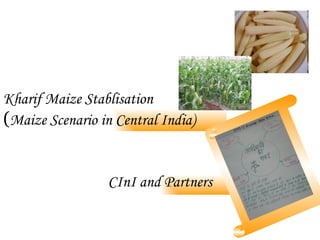 Kharif Maize Stablisation   ( Maize Scenario in Central India) CInI and Partners 