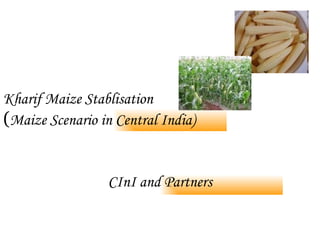 Kharif Maize Stablisation   ( Maize Scenario in Central India) CInI and Partners 