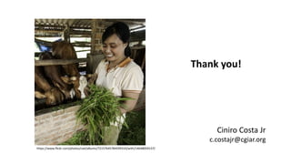 ADB ESLAP case study outputs and synthesis results: Sustainable livestock guidance review and framework