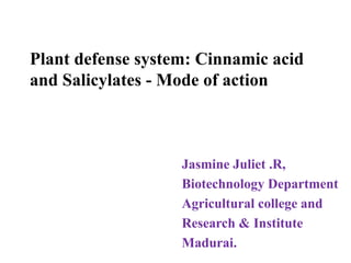 Plant defense system: Cinnamic acid
and Salicylates - Mode of action
Jasmine Juliet .R,
Biotechnology Department
Agricultural college and
Research & Institute
Madurai.
 