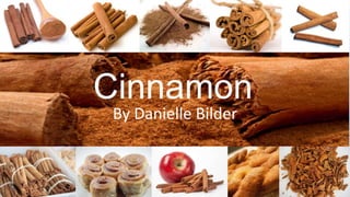 Cinnamon
By Danielle Bilder

 