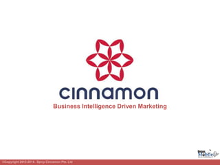 Business Intelligence Driven Marketing
©Copyright 2013-2014. Spicy Cinnamon Pte. Ltd
 
