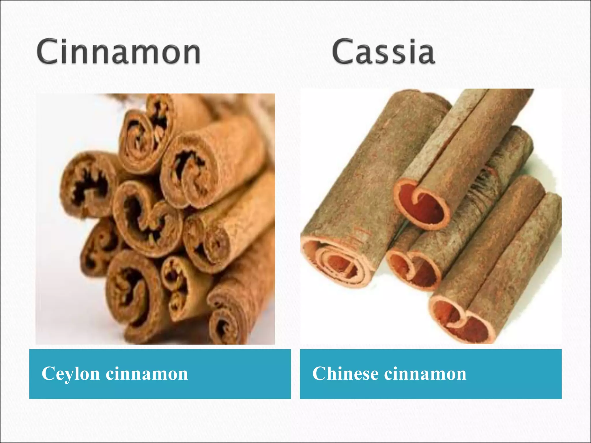 Study of Cinnamon and Cassia | PPT