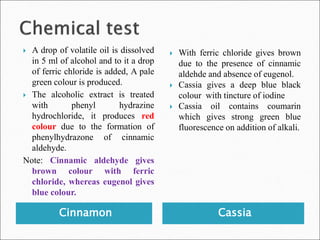 Study of Cinnamon and Cassia 